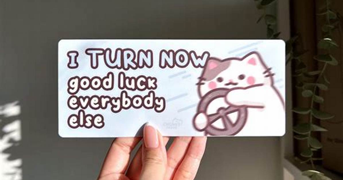 'I Turn Left Now Good Luck': Complete Guide to Context, Audio, and Meaning