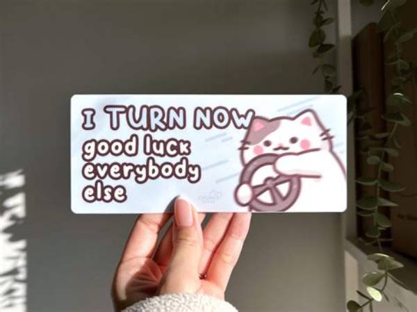 'I Turn Left Now Good Luck': Complete Guide to Context, Audio, and Meaning