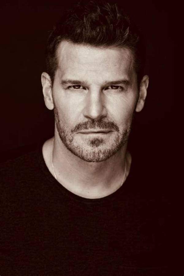 Inside David Boreanaz’s Real Military Training and Uso Service Missions