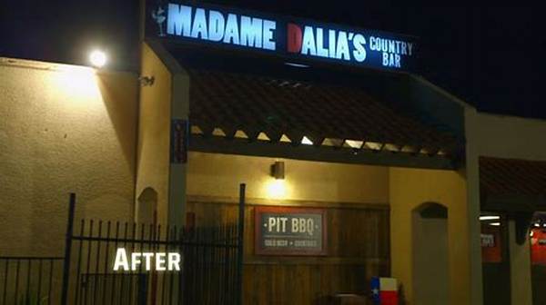 Inside the Collapse of Madame Dalia’s Country Bar: Why the Wild Bar Rescue Makeover Failed