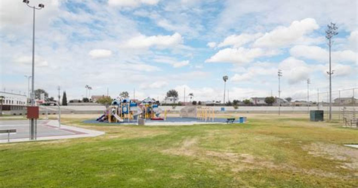 Is Del Amo Park Safe for Families? Coyote Precautions and Youth Sports Protocols Explained
