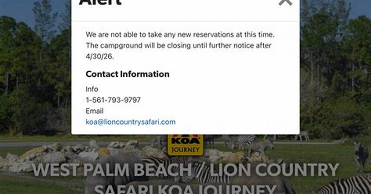 Is Lion Country Safari Camping Really Closing? the Oracle Billionaire Sale Fact-Checked