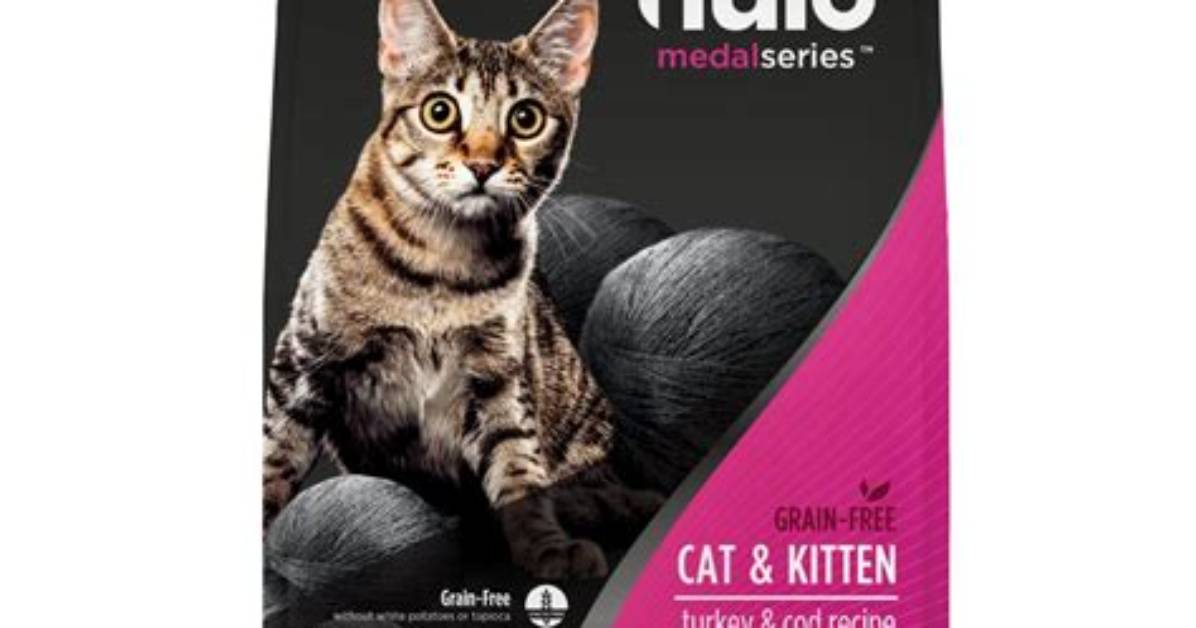 Is Nulo Cat Food Actually Safe? the Real Truth Behind Ingredients and Recall Rumors
