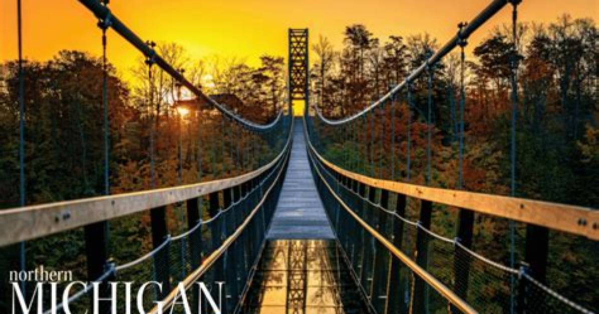 Is Skybridge Michigan Worth the Terror? the Truth Behind the Viral Walk