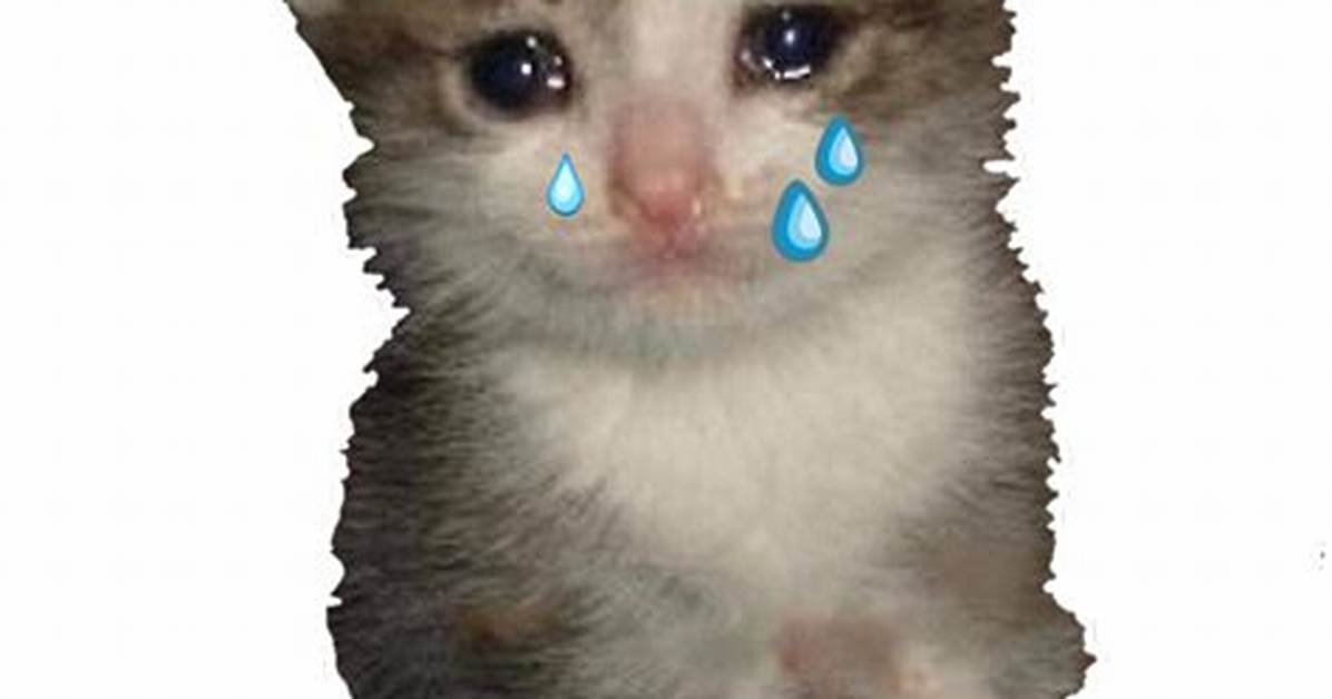 Is the 'Crying Kitten' Meme Real? Veterinary Facts Behind Viral Feline Tears