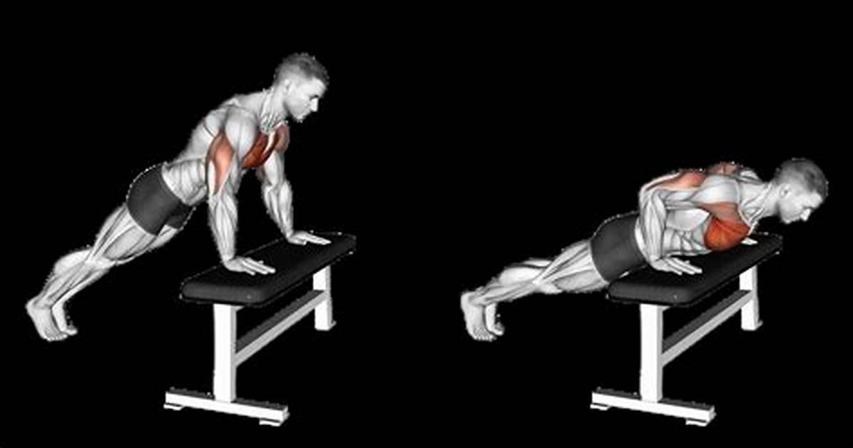 Is the Incline Push up an Effective Chest Builder or Just a Modification?