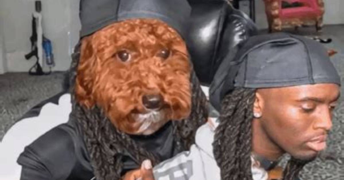 Is the Kai Cenat Dog Face Swap Real or an Ai Edit? the Truth Behind the Clip