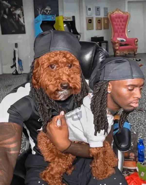 Is the Kai Cenat Dog Face Swap Real or an Ai Edit? the Truth Behind the Clip