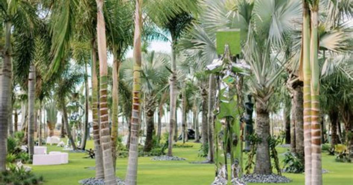 Is the Lake Nona Sculpture Garden Truly Free? Hours, Parking, and Access Realities