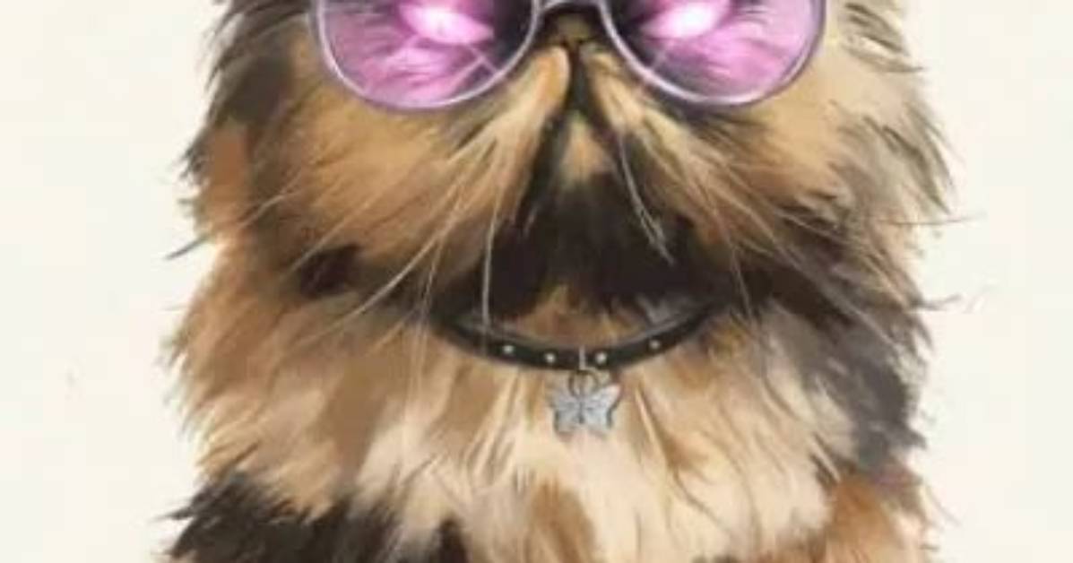 Jeff Hays Confirmed as Princess Donut: the Casting Decision Fans Demanded