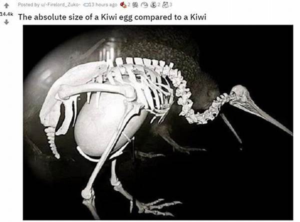 Kiwi Bird Egg Size Proof: X-Rays, Anatomy Comparisons, and Skeletal Scans