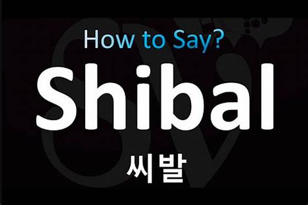 Mastering Korean Slang: 'Shibal' Meaning, Exact Pronunciation, and Safe Usage Guide