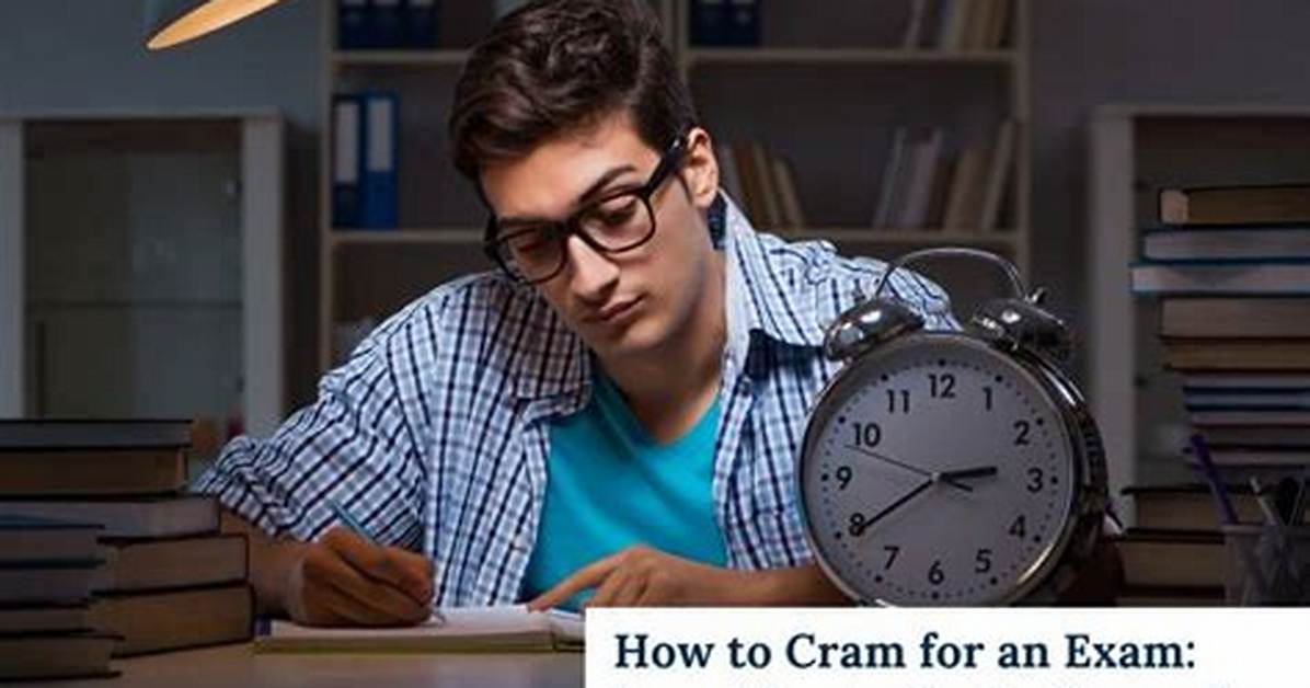 Midterm Cram Alert: Last-Minute Circle of Willis Mnemonics for Fast Exam Prep