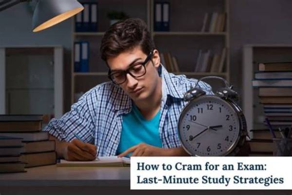 Midterm Cram Alert: Last-Minute Circle of Willis Mnemonics for Fast Exam Prep