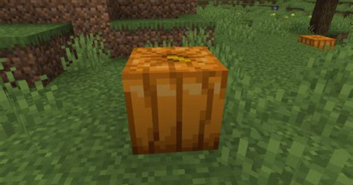 Minecraft Pumpkin Updates: How the 1.13 Update Changed Pumpkin Carving Forever