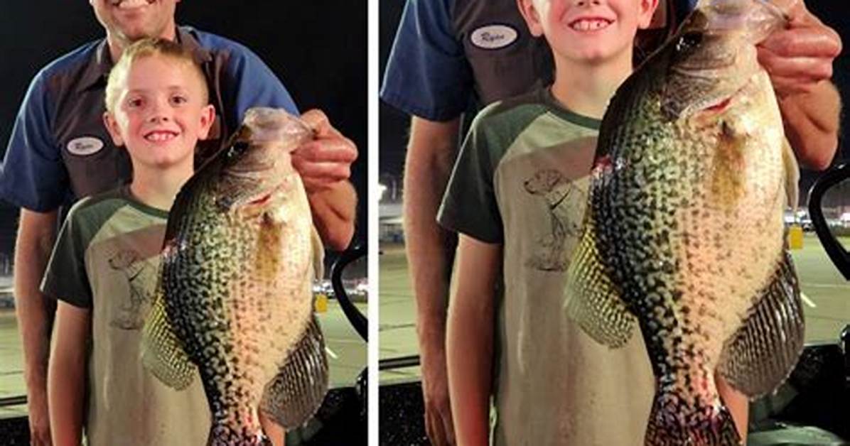 Minnesota Record Crappie Fact Check: Official Dnr Certification, Cedar Lake Details, and History