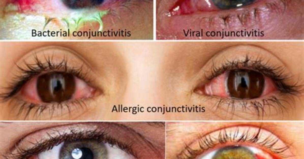 Real Photos Vs. Viral Hoaxes: the Visual Context Behind Brittney Griner's Trending Images