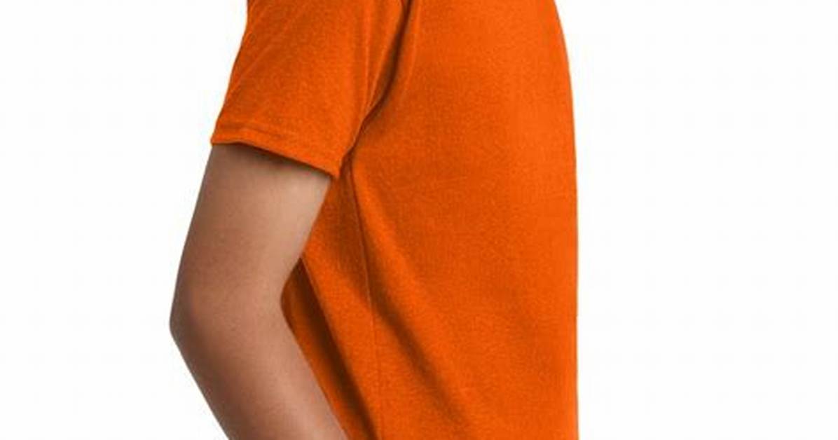 Rushordertees Premium Cotton T-Shirt Buyer's Guide: Sizing, Care, and Bulk Orders