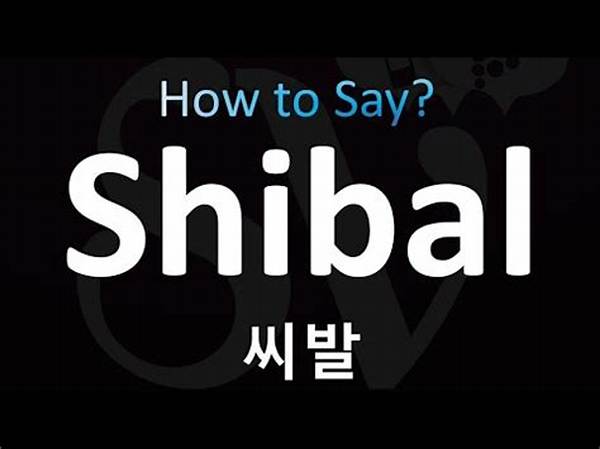 'Shibal' in Korean Explained: Pronunciation, Variations, and When Never to Use It