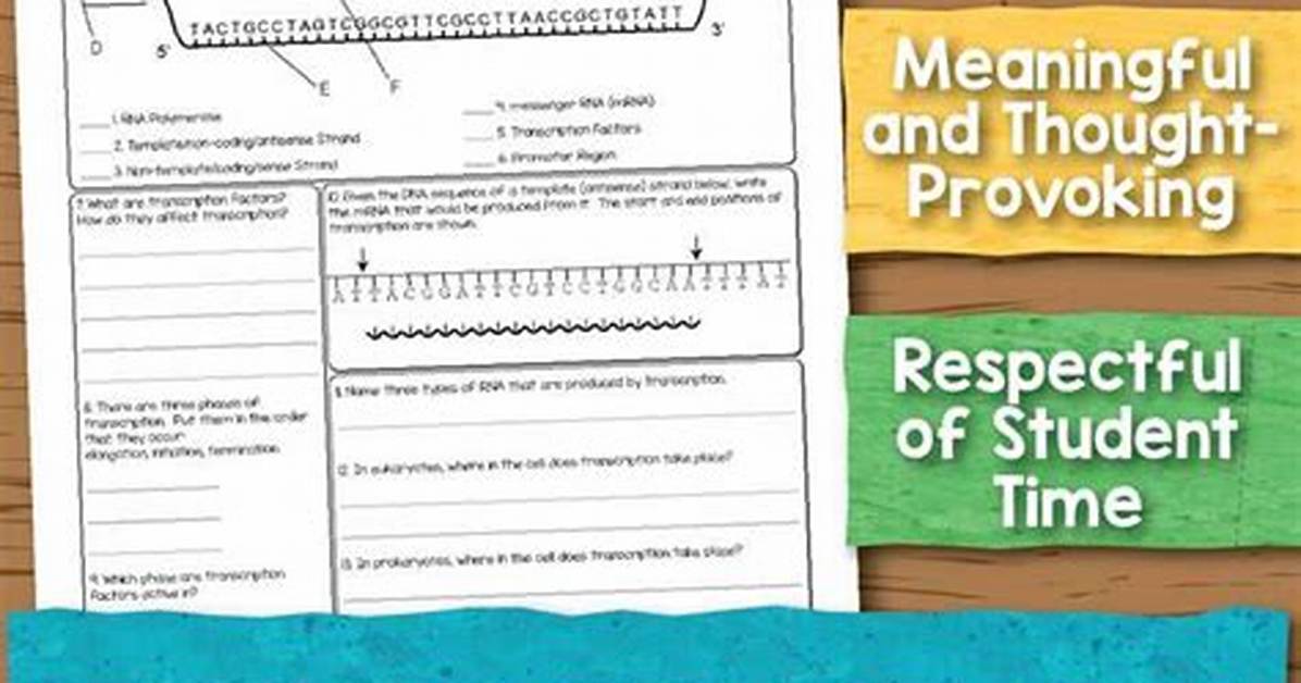 The Bethany Lau 2016 Answer Key Craze: Why Science Students Are Frantically Hunting Leaked Solutions