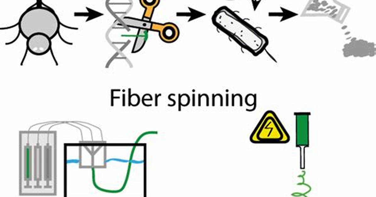 The Biotextile Evolution: How Medical Silk Fibers Entered Modern Aesthetics