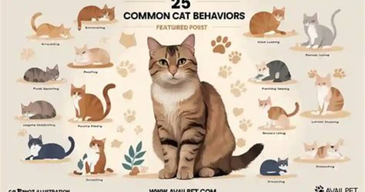 The Complete Guide to Cat Scent Behaviors: Flehmen Response and Face Sniffing