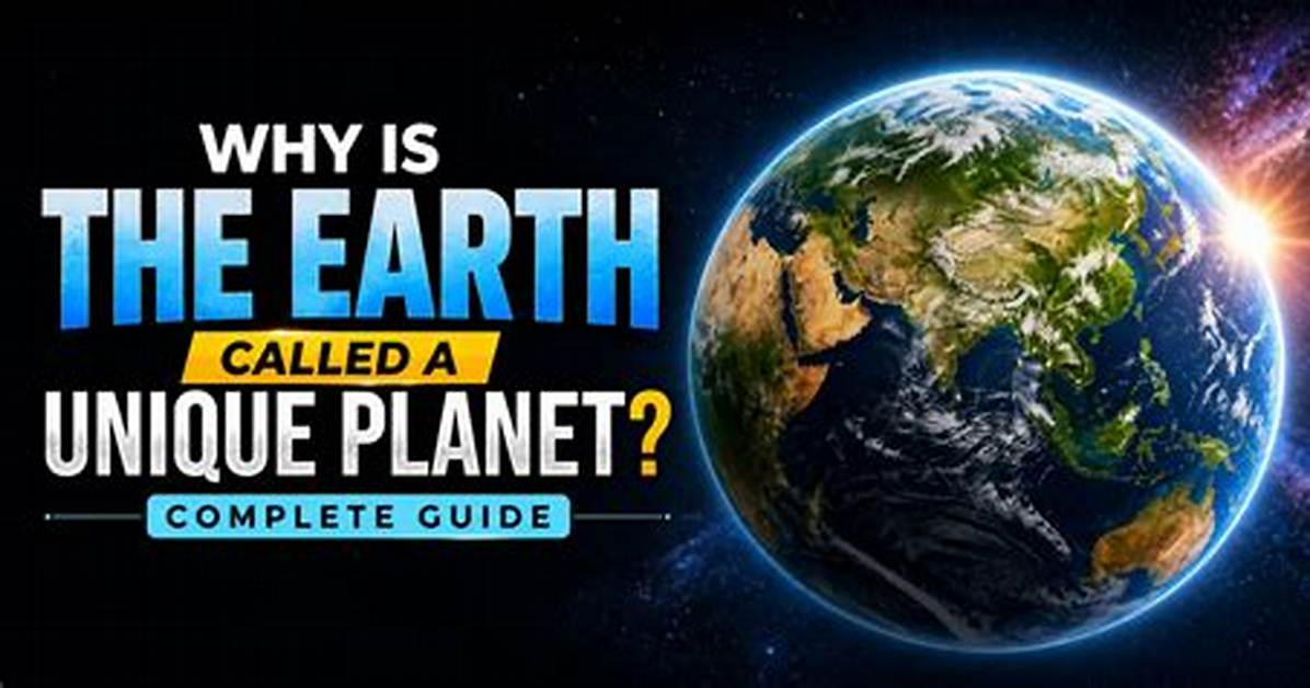 The Complete Guide to Postcard from Earth: Best Seats, Ticket Costs, and What to Expect
