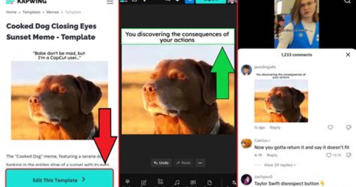 The Complete Guide to Tiktok Comment Memes: Deciphering Every Viral Inside Joke
