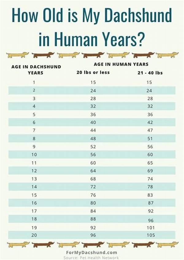 The Complete Mini Dachshund Aging Timeline: Critical Care Shifts from Puppy to Senior