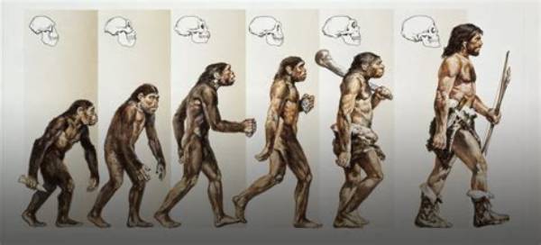 The Evolution of Body Image in China: a Decade of Transformation from 2015 to Today