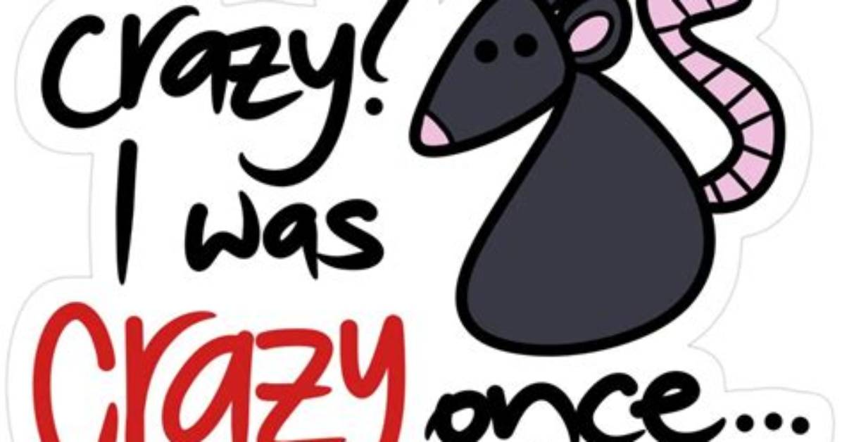 The Evolution of 'Crazy Once': a Complete Timeline of Its Digital Resurgence
