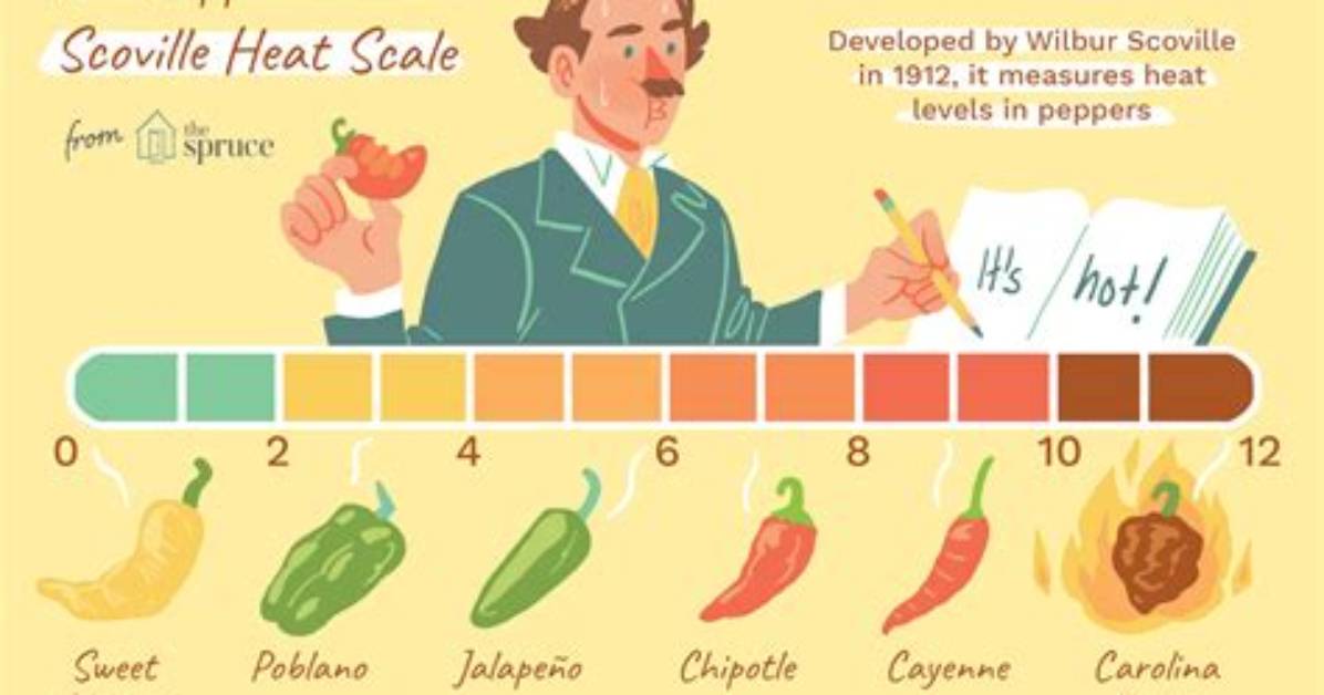 The Hidden Truth Behind Takis Scoville Units: Why Fuego Feels Dangerously Hotter Than It Is