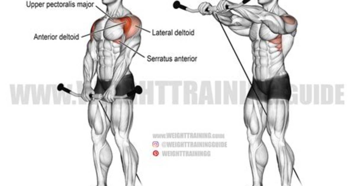 The Master Guide to Cable Front Raises: Proper Form, Angles, and Rep Sets
