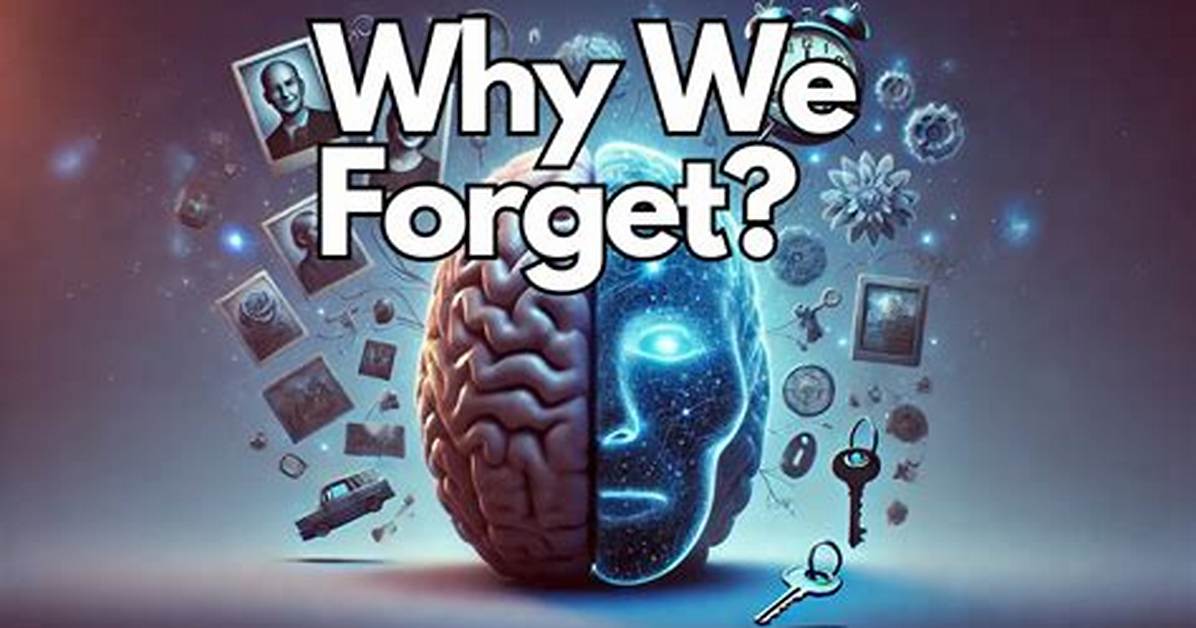 The Science of Forgetting: Why Our Brains Casually Drop Crucial Details