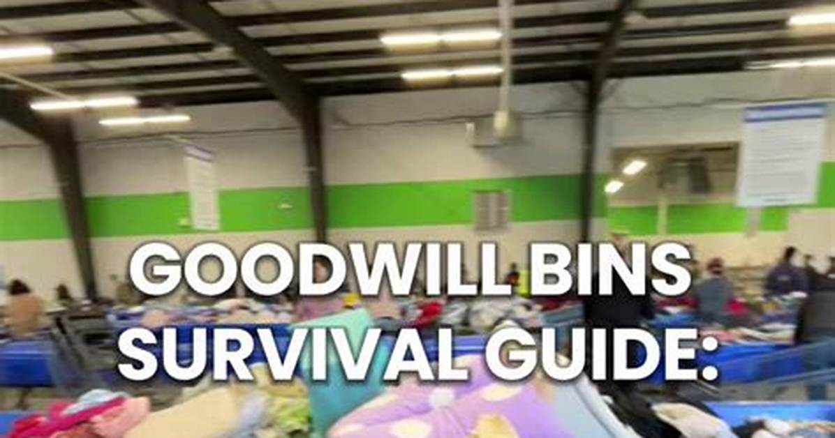 The Ultimate Houston Bins Survival Guide: Customer Reviews, Rules, and Expert Tips