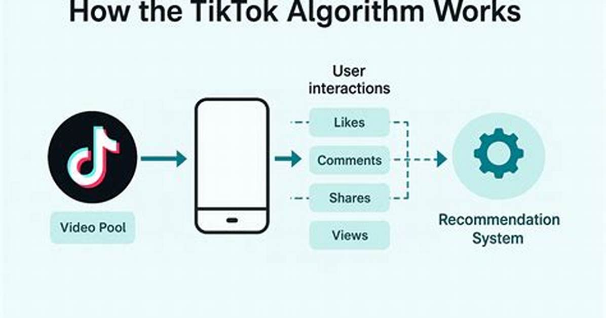 Tiktok Explore Page Fact-Check: Algorithm Shift, Rumors, and Reality