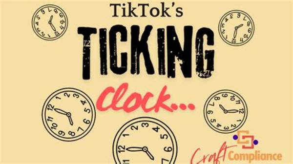 Tiktok's Ticking Clock: Why Big Tech Is Mounting an Unprecedented Revolt Against Regulators
