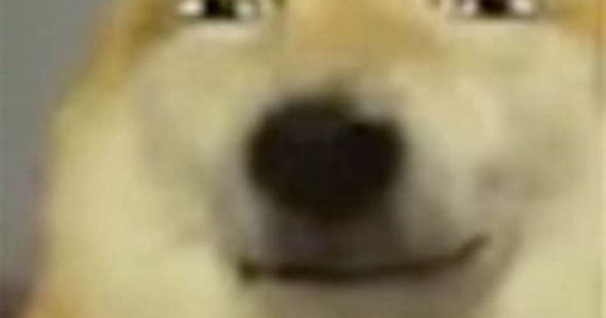 Timeline of the Smirking Dog Meme: How Kabosu and Viral Canines Shaped Modern Humor