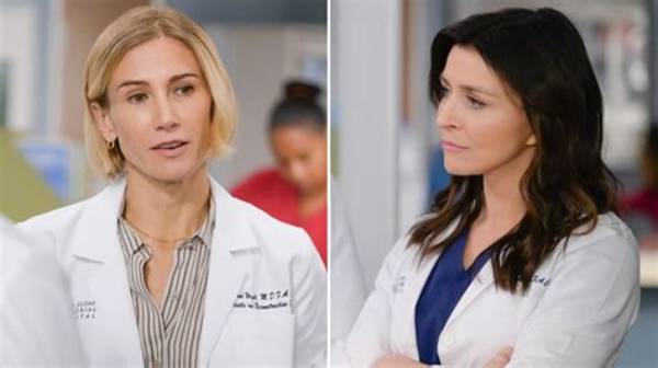 Toni and Amelia on Grey's Anatomy: on-Screen Clues, Chemistry, and Episode Breakdown