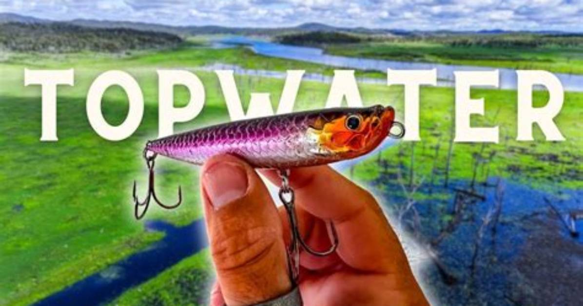 Topwater Strike Test: Visible Proof Showing Why Braided Line Triggers More Explosive Hooksets