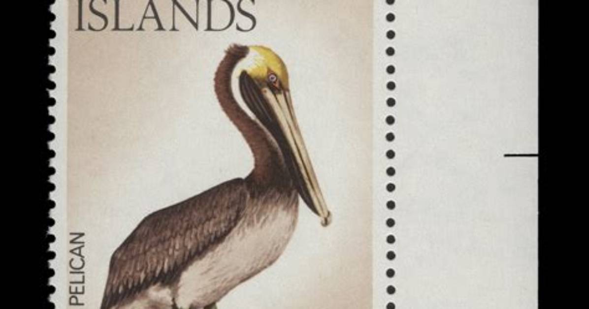 Turks and Caicos Tourism Evolution: How Pelican Beach Took Center Stage
