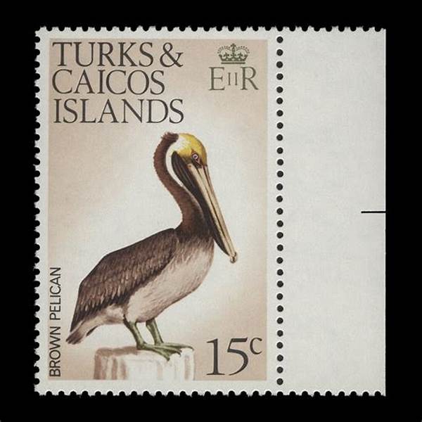 Turks and Caicos Tourism Evolution: How Pelican Beach Took Center Stage