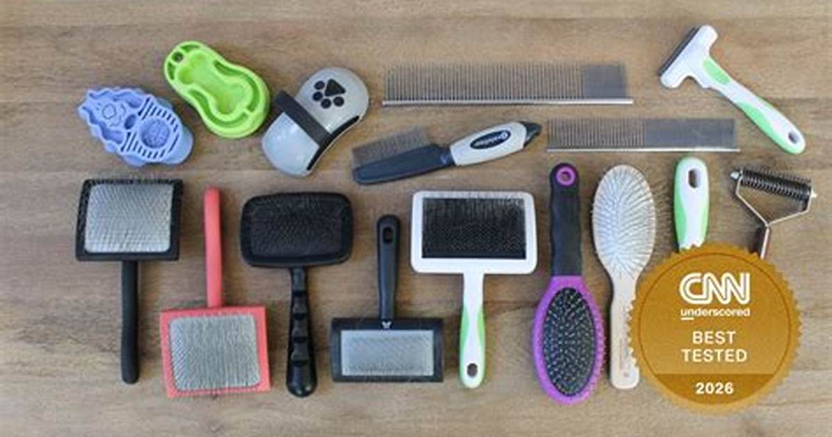 Vet Assistant Tested: the Best Dog Brushes for Long-Haired Dachshunds