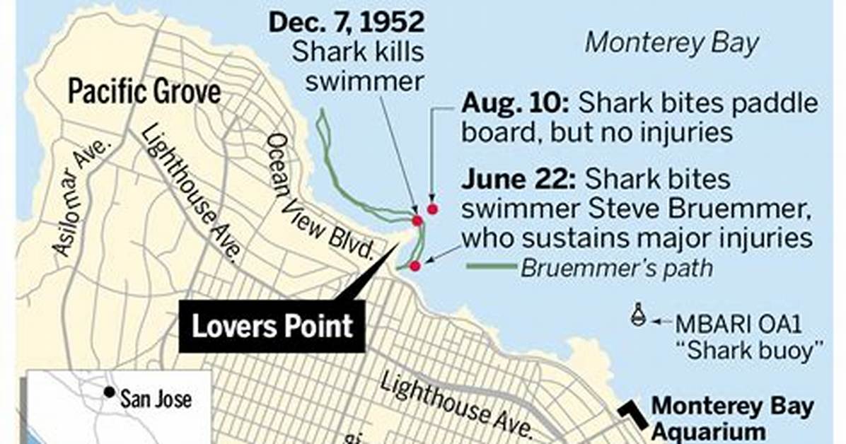 Visiting Lovers Point Beach: Current Closures, Shark Alerts, and Swimming Rules