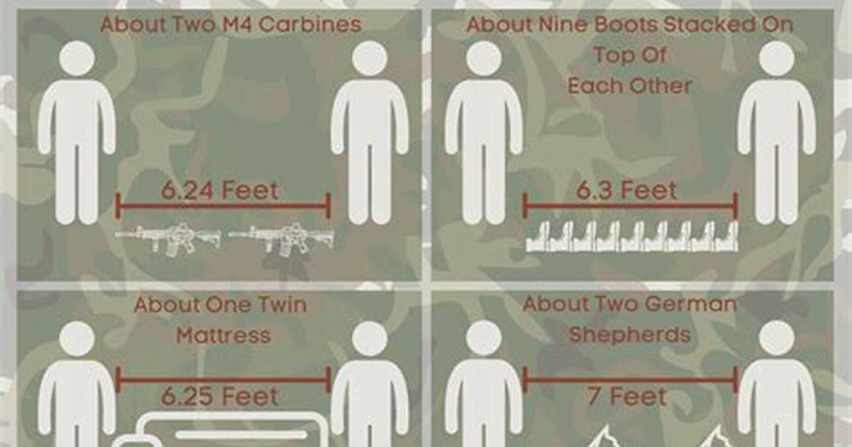 What 6 Feet Looks Like in Meters: Visualizing the Height Benchmark