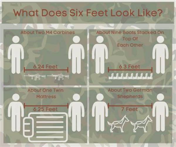 What 6 Feet Looks Like in Meters: Visualizing the Height Benchmark