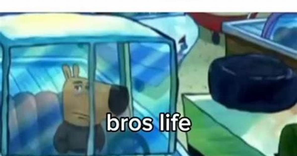 What Does 'How Bro Sees Life' Actually Mean? the Complete Cultural & Meme Breakdown