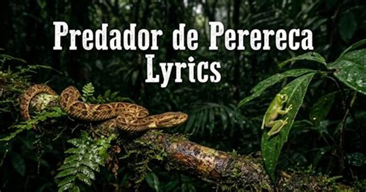 What Does 'Predador De Perereca' Really Mean? Shocking Tiktok Song Lyrics Translated