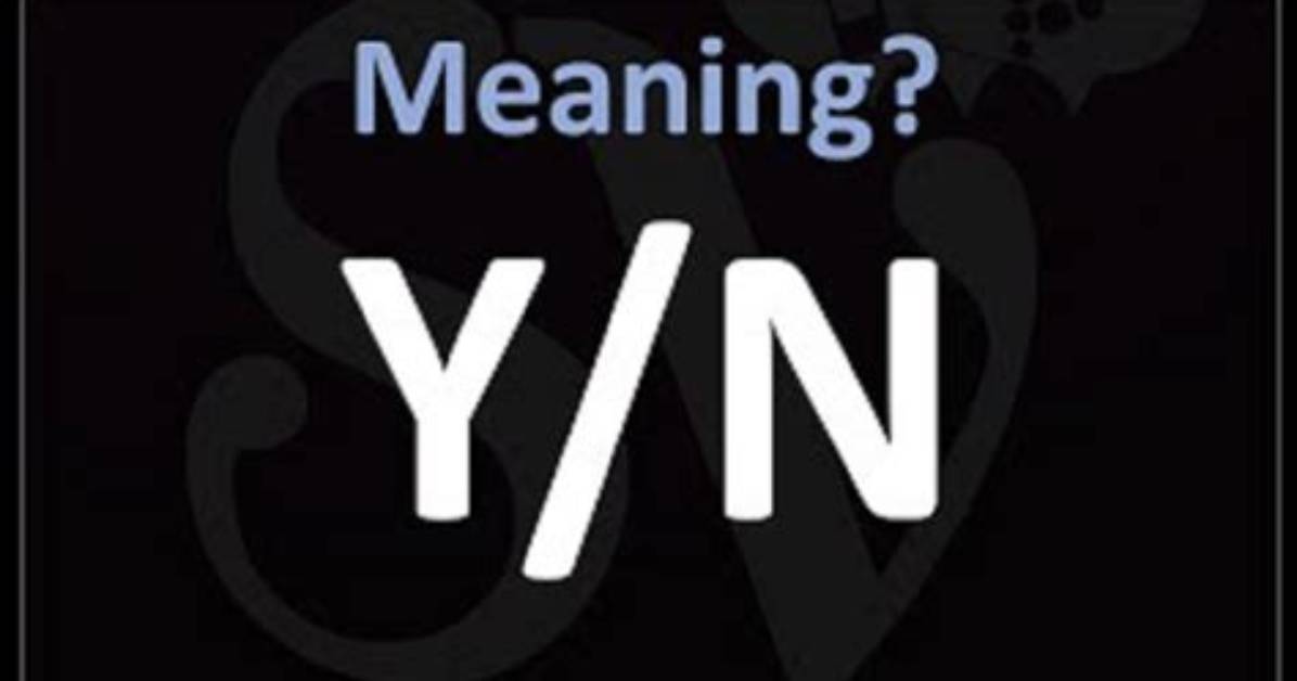 What Does Y/N Mean and Why Are They Asleep? the Truth Behind the Viral Wattpad Satire