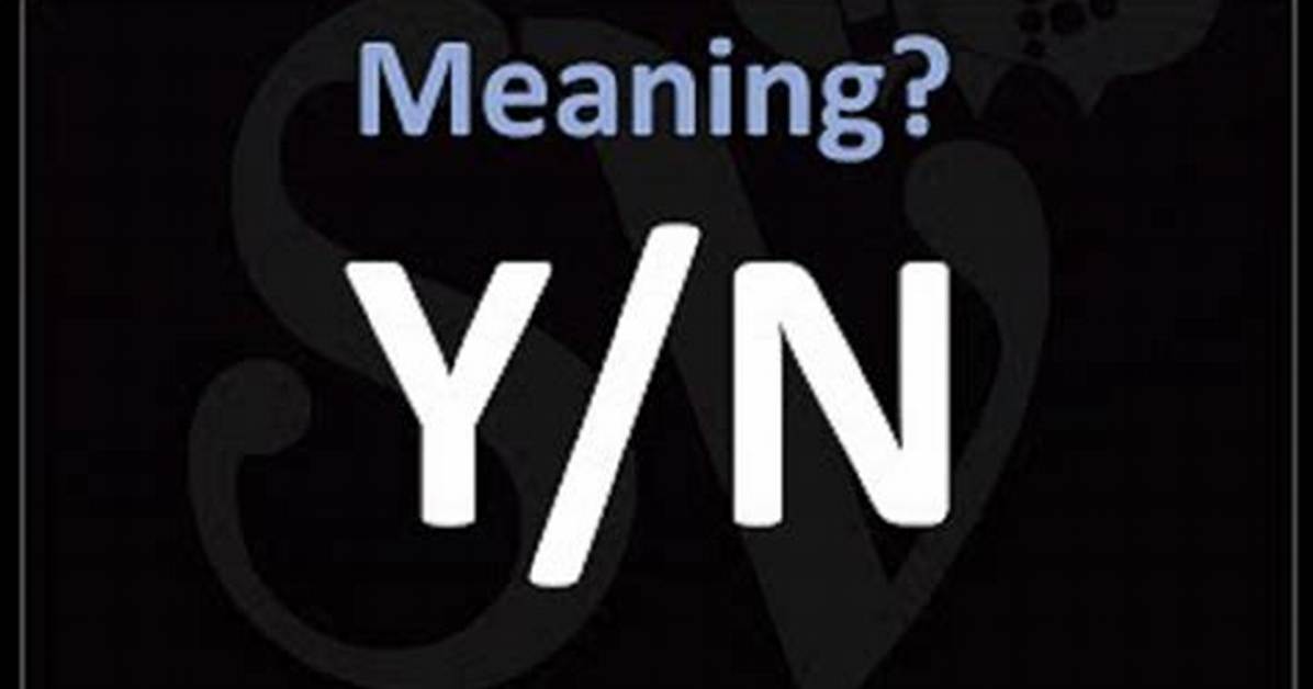 What Does Y/N Mean? the Complete Explainer on Internet Slang, Viral Trends, and Pop Culture